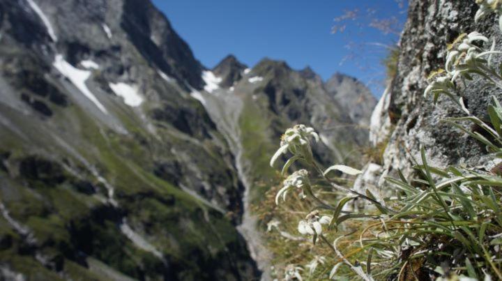 Garni Nill Gasthof Schwendau