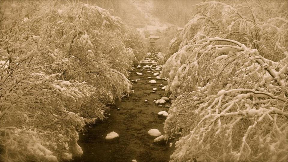 Garni Nill Affittacamere Schwendau